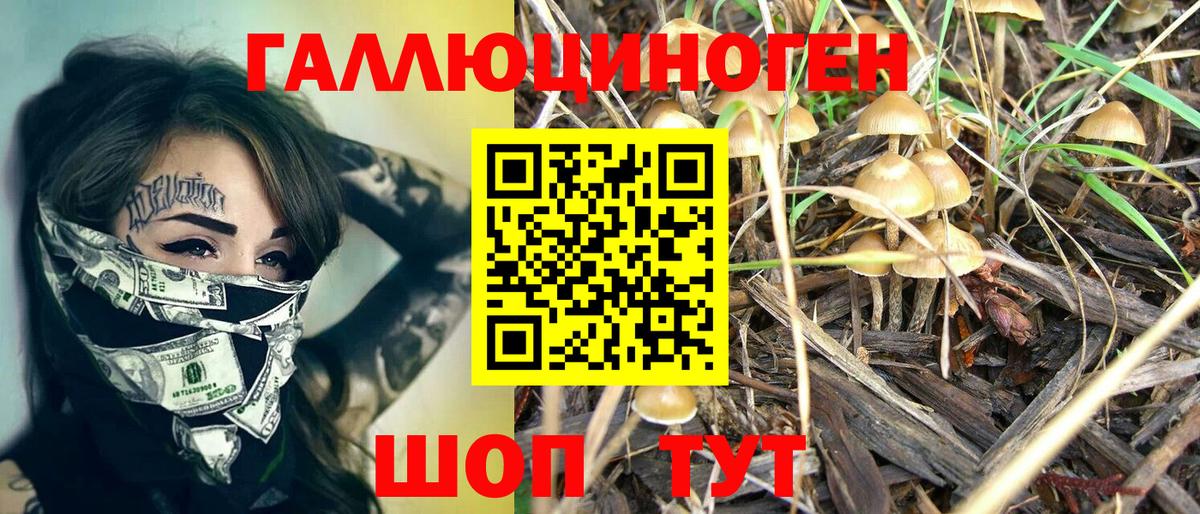 Нижний Тагил  Галлюциногенные грибы Psilocybe  Вход с VPN 